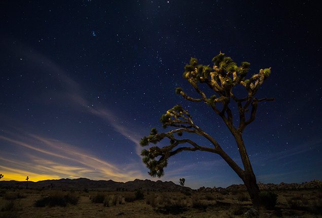 Day trip to Joshua Tree National Park, California