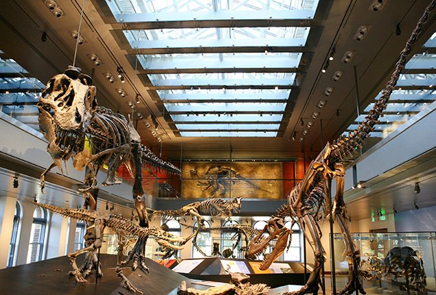 Natural History Museum of Los Angles