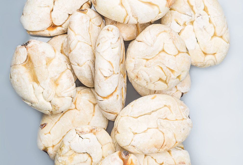 White Amazonian cacao beans – rediscovered in Peru