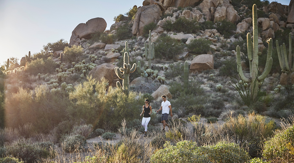 Fs Mag Backyard Pinnacle Peak