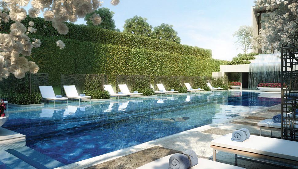 Daily Discoveries Slideshow Bengaluru