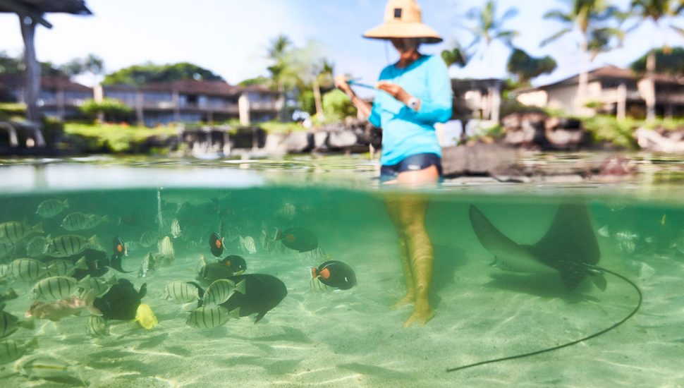 Daily Discoveries Slideshow Hualalai